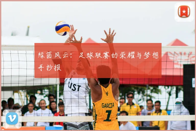 绿茵风云:足球联赛的荣耀与梦想手抄报